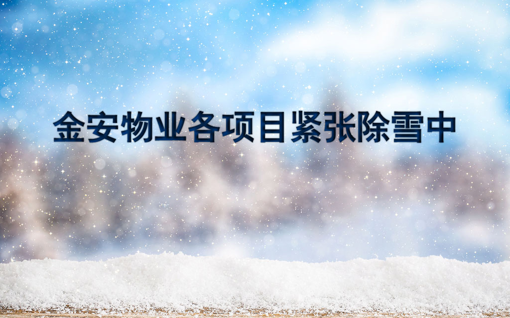 金安物业各项目紧张除雪中！