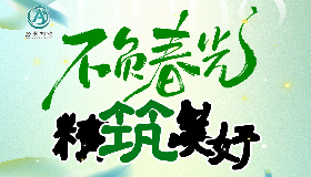 不负春光 精筑美好—金安物业春风行动专项服务活动纪实